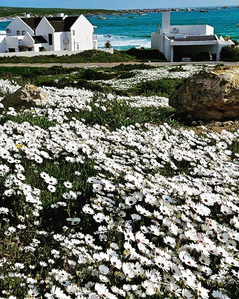 Villa Sonkwas 10 à Paternoster Extérieur photo